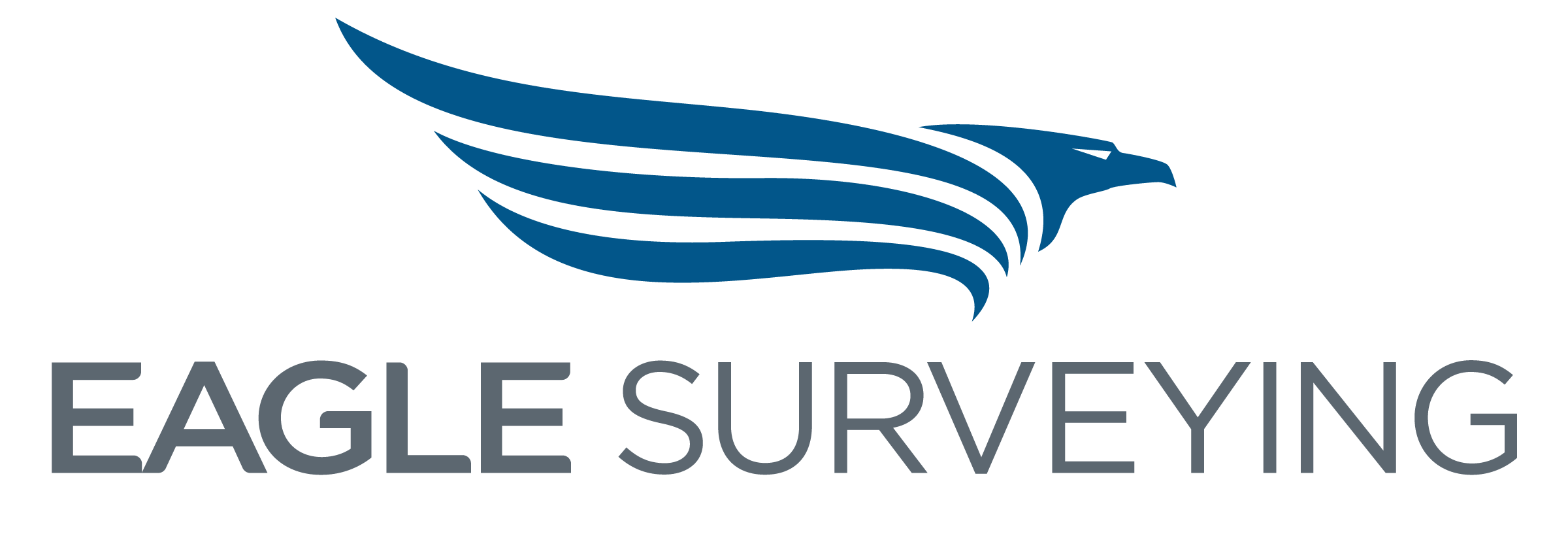 Eagle Logo (special)